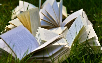 Libri Libri